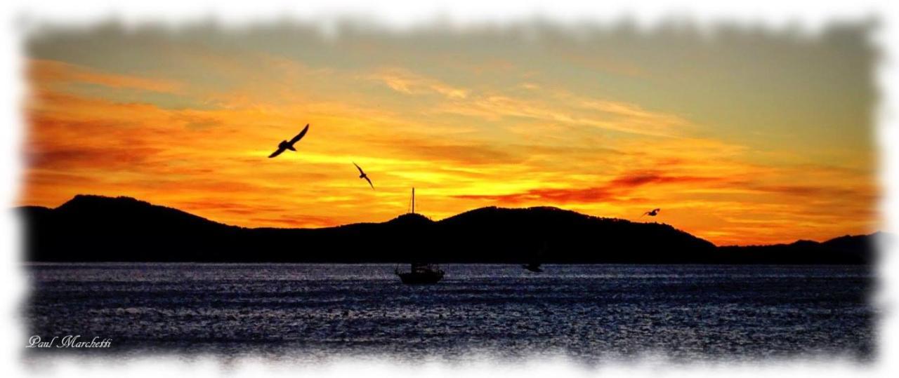 Apartment Le Cytharis La Ciotat